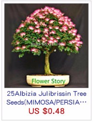 -8-Kinds-Japanese-Maple-Bonsai-Tree-Seeds-Garden-Plants--for-home-20-Pcs-each-kind-32470876306