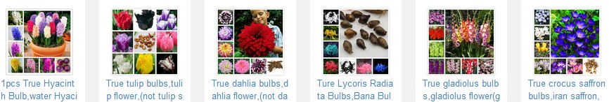 300Pcs-Giant-Red-Climbing-Strawberry-Seeds-Garden-Fruit-Plant-Sweet-And-Delicious-32513664469