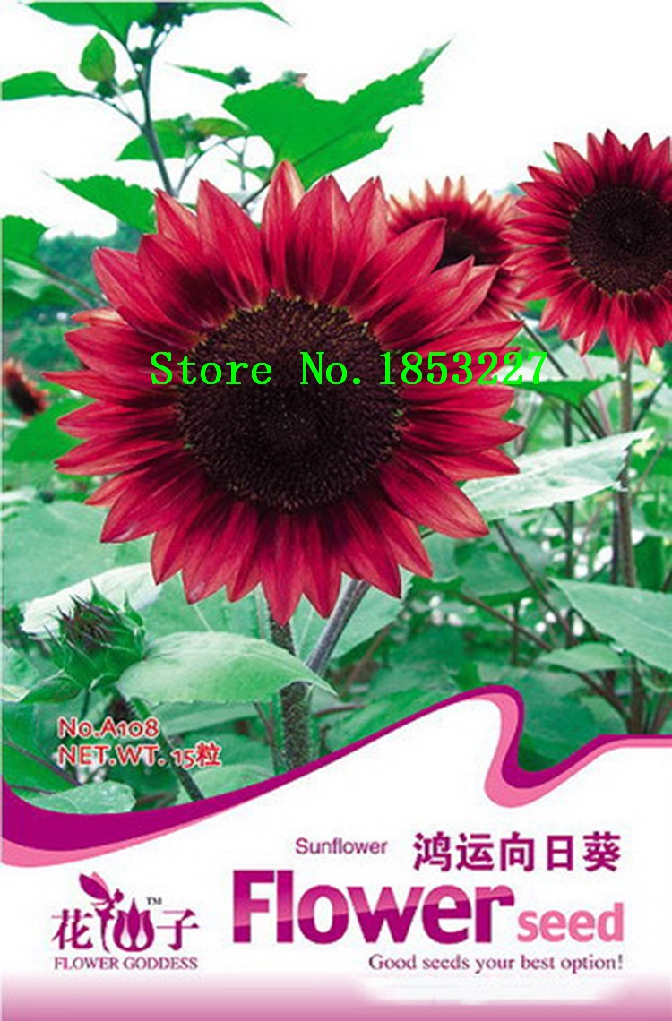 50-pcs-Helianthus-Red-Sunflower-Seeds-Red-Sun-Fortune-Bloom-Garden-Heirloom-Seeds-Bonsai-Plants-Seed-32410341627