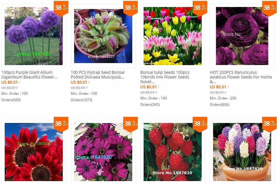 50-pcs-Helianthus-Red-Sunflower-Seeds-Red-Sun-Fortune-Bloom-Garden-Heirloom-Seeds-Bonsai-Plants-Seed-32410341627