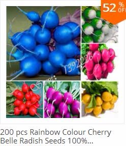 500pcs-Blue-Climbing-Strawberry-seeds-tree-Seedvery-delicious-Fruit-Seeds-For-Home-amp-Garden-bonsai-32603400575