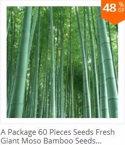 500pcs-Blue-Climbing-Strawberry-seeds-tree-Seedvery-delicious-Fruit-Seeds-For-Home-amp-Garden-bonsai-32603400575