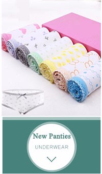 5pcs-Lot-Panties-Hot-Sale-Sexy-Cotton-Traceless-Women-lingerie-Seamless-Women39s-Briefs--Women-Plus--1880283216