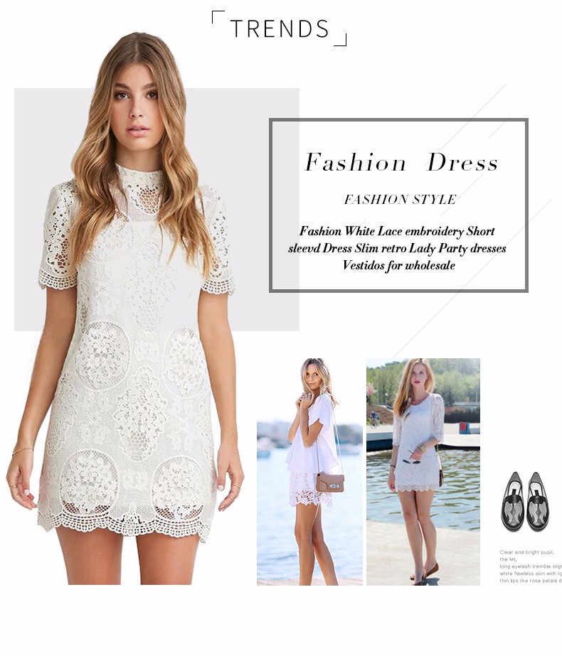 HDY-Haoduoyi-Womens-Fashion-White-Lace-embroidery-Short-sleevd-Dress-Slim-retro-Lady-Party-dresses-V-32789305603