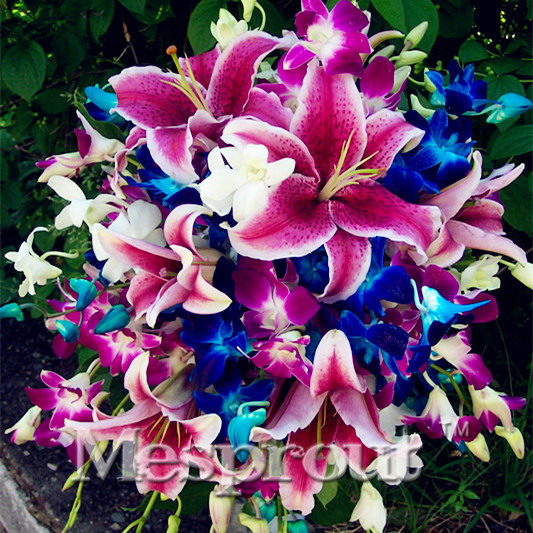 HOT-Sale-100-PCS--24-Colors-Lily-Seeds-Cheap-Perfume-Lilies-Seeds-Rare-Color-Flower-Garden-Plant---M-32693139840