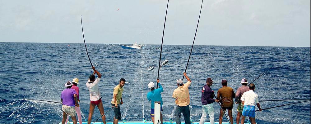 Japan-500m-DAIWA-New-Brand-Nylon-Series-Super-Strong-Fishing-Line-Multifilament-Fishing-Tape-Monofil-32718737650