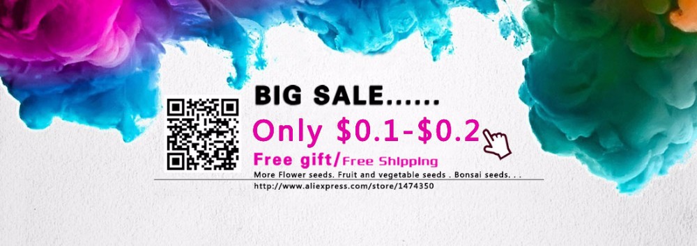 Time-Limit-100-Particles-a-Large-Collection-of-All-Kinds-of-Rare-Rose-Seeds-Perennial-Flowers-14-Var-32701337070