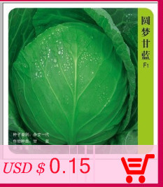 free-ship-20-Rare-Flower-Seeds-Anthurium-Andraeanu-Seeds-Balcony-Potted-Plant-Anthurium-Flower-Seeds-32482759693