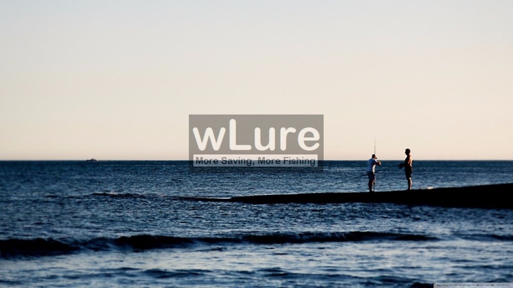 wLure-Fishing-Lure-Hard-Bait-Medium-Diver-Tight-Wobble-Slow-Floating-72g-85cm-Over-20-Colors-Minnow--1522479852