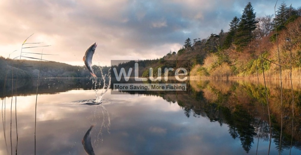 wLure-Fishing-Lure-Minnow-Crankbait-Hard-Bait-Tight-Wobble-Jerkbait-12cm-18g-4-Black-Nickle-Treble-H-1293239491