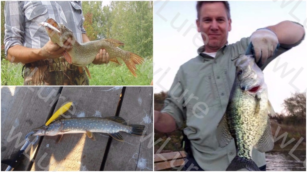 wLure-Fishing-Lure-Minnow-Crankbait-Hard-Bait-Tight-Wobble-Jerkbait-12cm-18g-4-Black-Nickle-Treble-H-1293239491