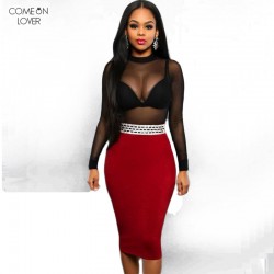Comeonlover Sheer Mesh Bodycon Sheath Women Dress Black Long Sleeve Dresses Women Clothing Sexy Dress Plus Size Club Dress